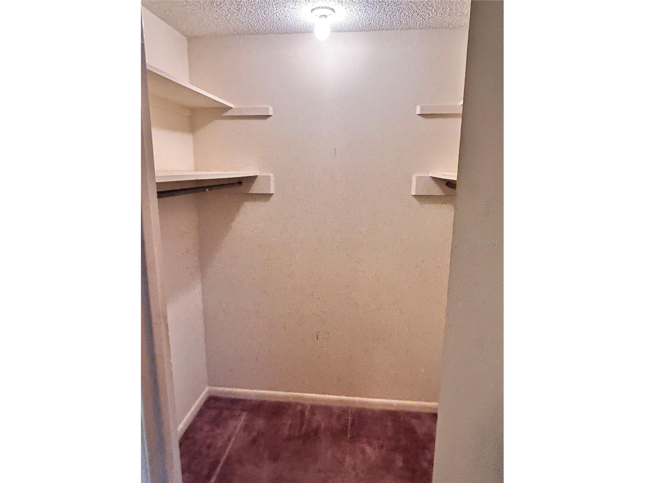 3808 NE 19th Street Circle Ocala FL 34470 OM716578 image16