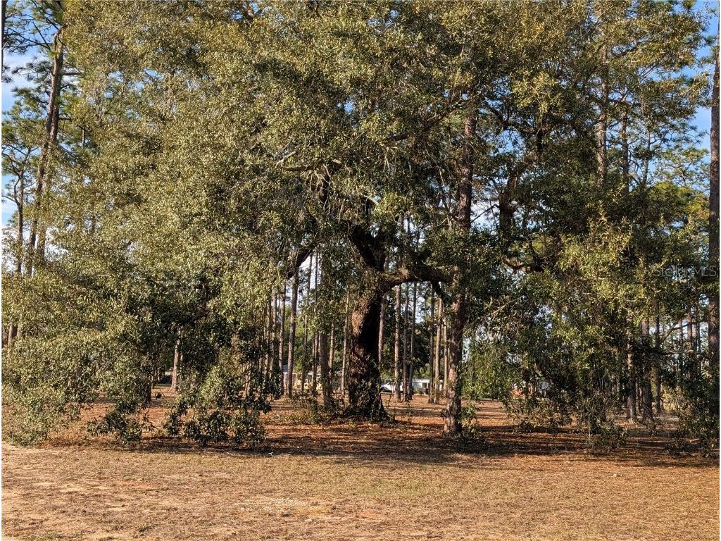 3808 San Gabriel Drive Pensacola FL 32504 O6286859 image64