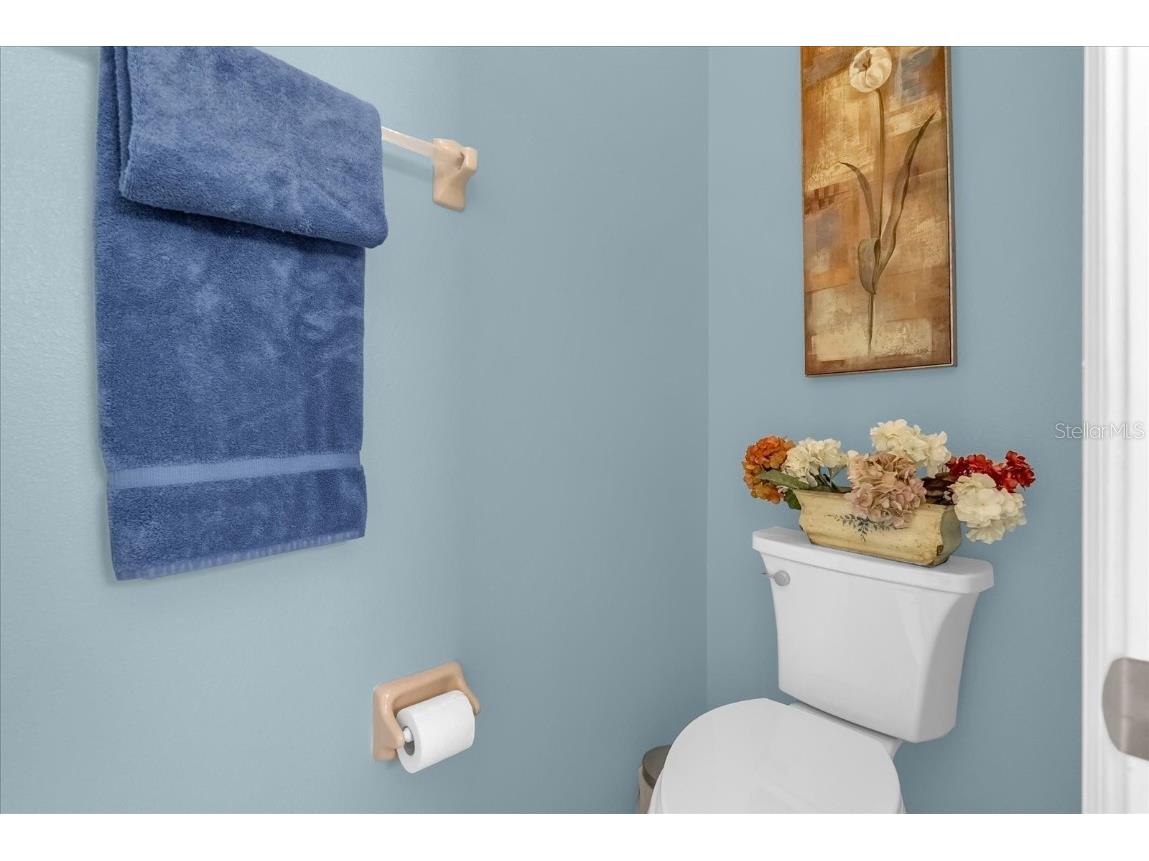 3808 Serena Lane Clermont FL 34711 O6364145 image15