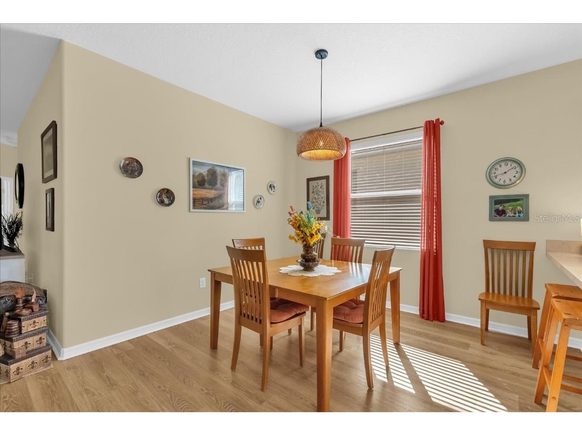 3808 Serena Lane Clermont FL 34711 O6364145 image9