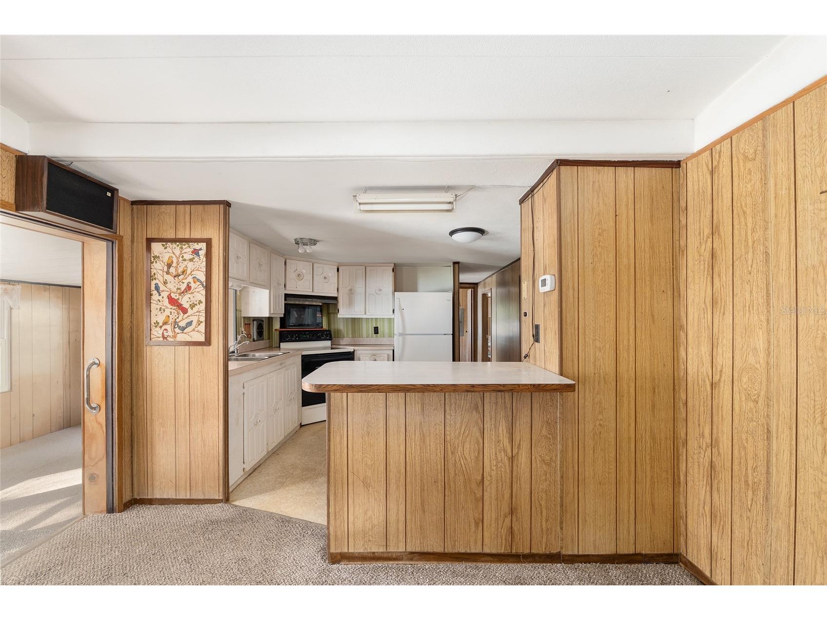 3809 Cr 405n Lake Panasoffkee FL 33538 - LAKE PANASOFFKEE G5106489 image14