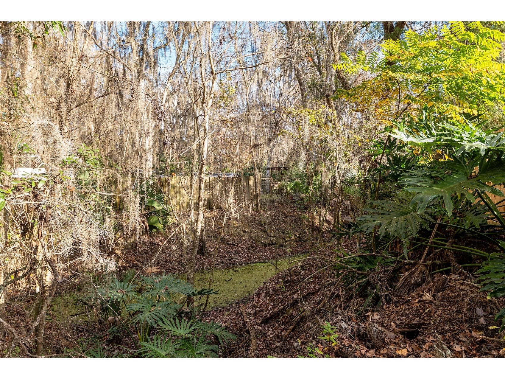 3809 Cr 405n Lake Panasoffkee FL 33538 - LAKE PANASOFFKEE G5106489 image56