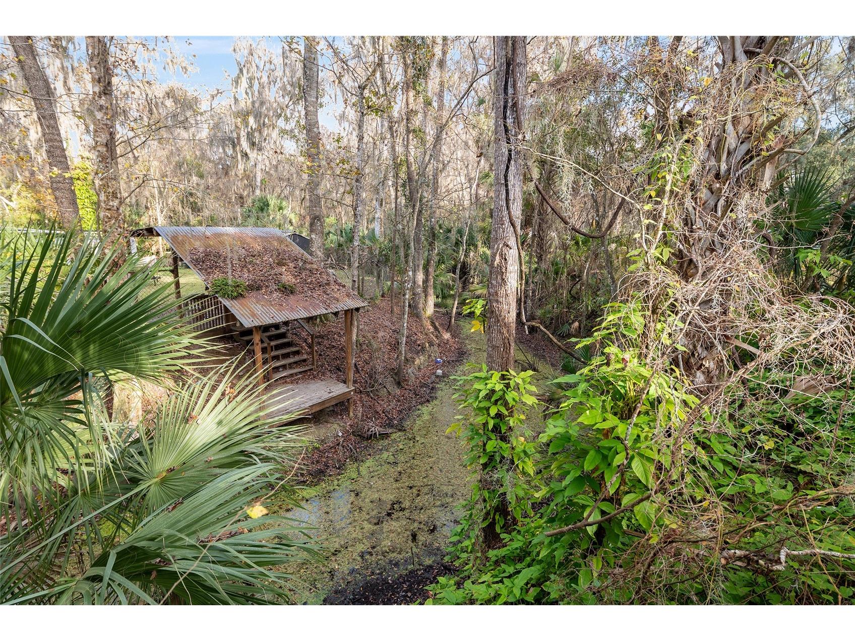 3809 Cr 405n Lake Panasoffkee FL 33538 - LAKE PANASOFFKEE G5106489 image57