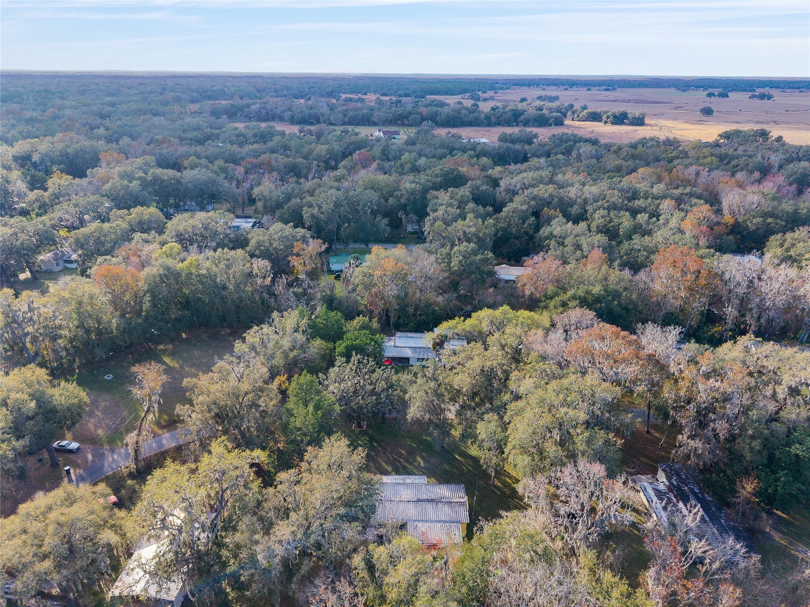 3809 Cr 405n Lake Panasoffkee FL 33538 - LAKE PANASOFFKEE G5106489 image69