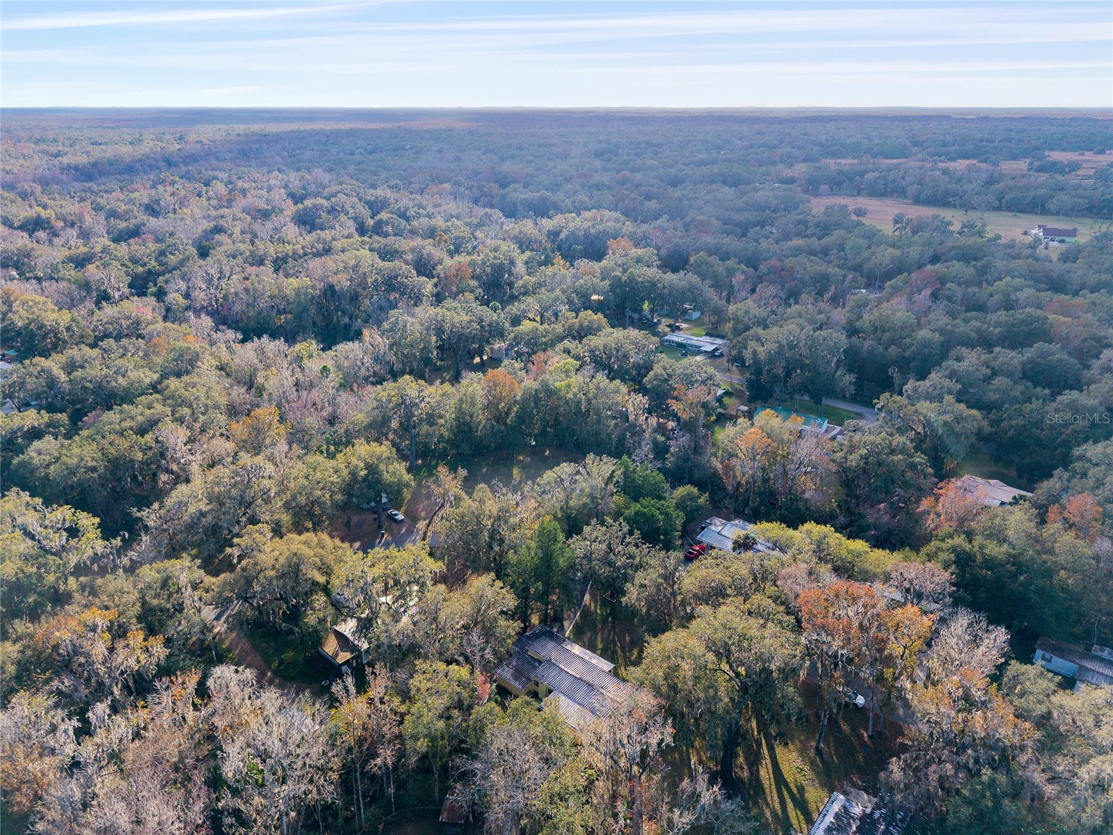 3809 Cr 405n Lake Panasoffkee FL 33538 - LAKE PANASOFFKEE G5106489 image70