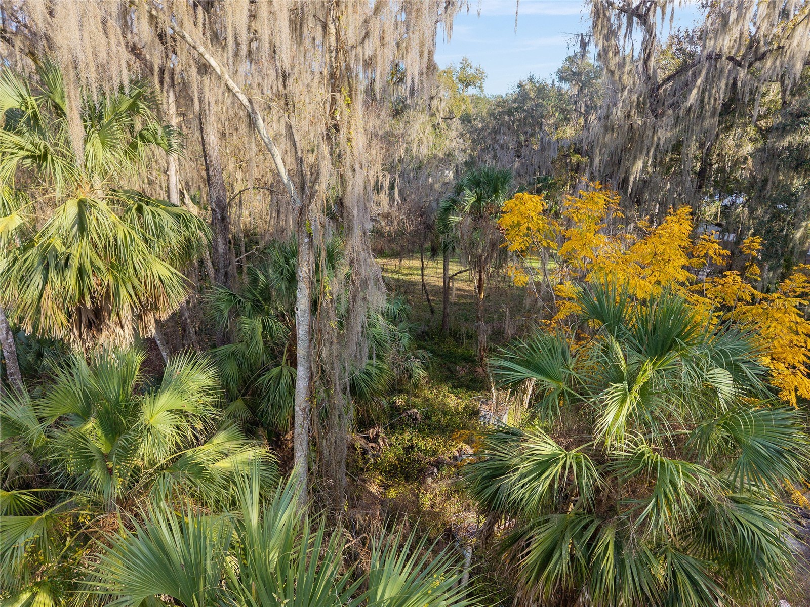 3809 Cr 405n Lake Panasoffkee FL 33538 - LAKE PANASOFFKEE G5106489 image73