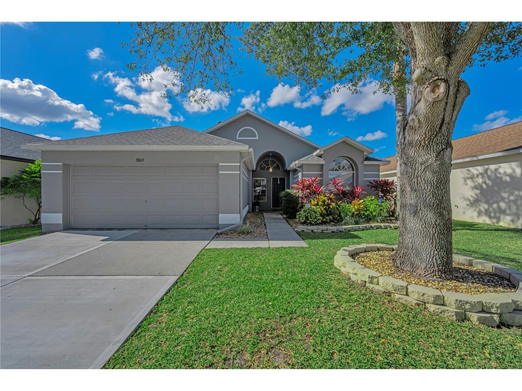 3809 Judson Drive Land O Lakes FL 34638 TB8463182 image1