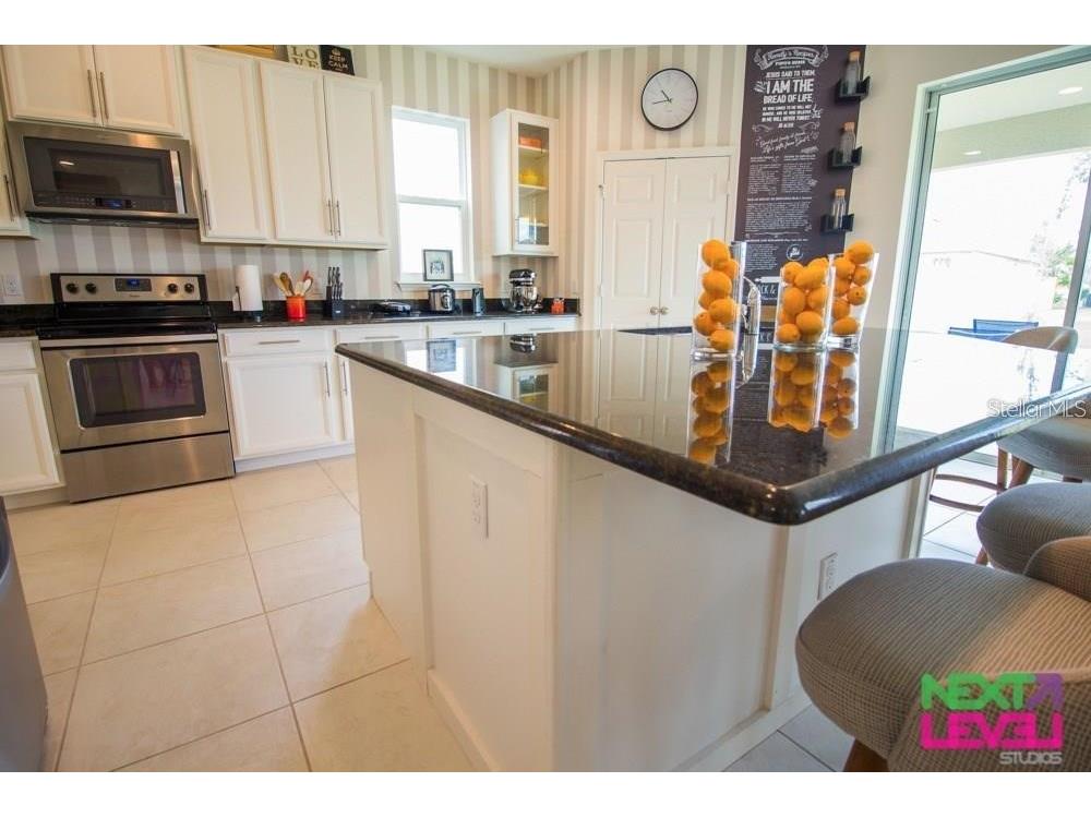 3809 Mt Vernon Way Kissimmee FL 34741 O6403607 image8