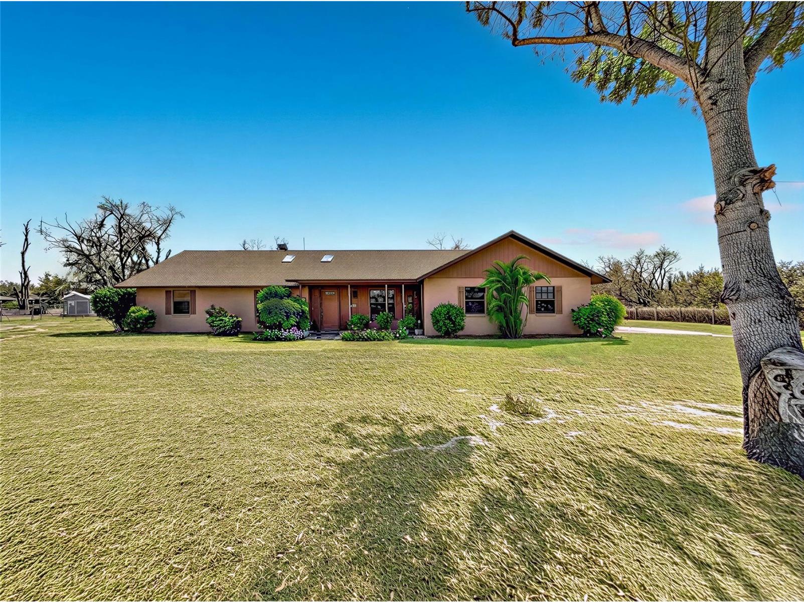 3809 Porter Road Lithia FL 33547 L4959120 image1