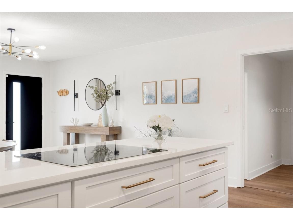 381 Kingfish Drive SE Saint Petersburg FL 33705 TB8414298 image11