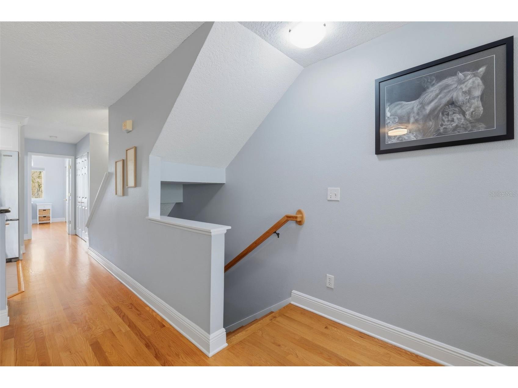 381 Madeira Circle Tierra Verde FL 33715 TB8498728 image18