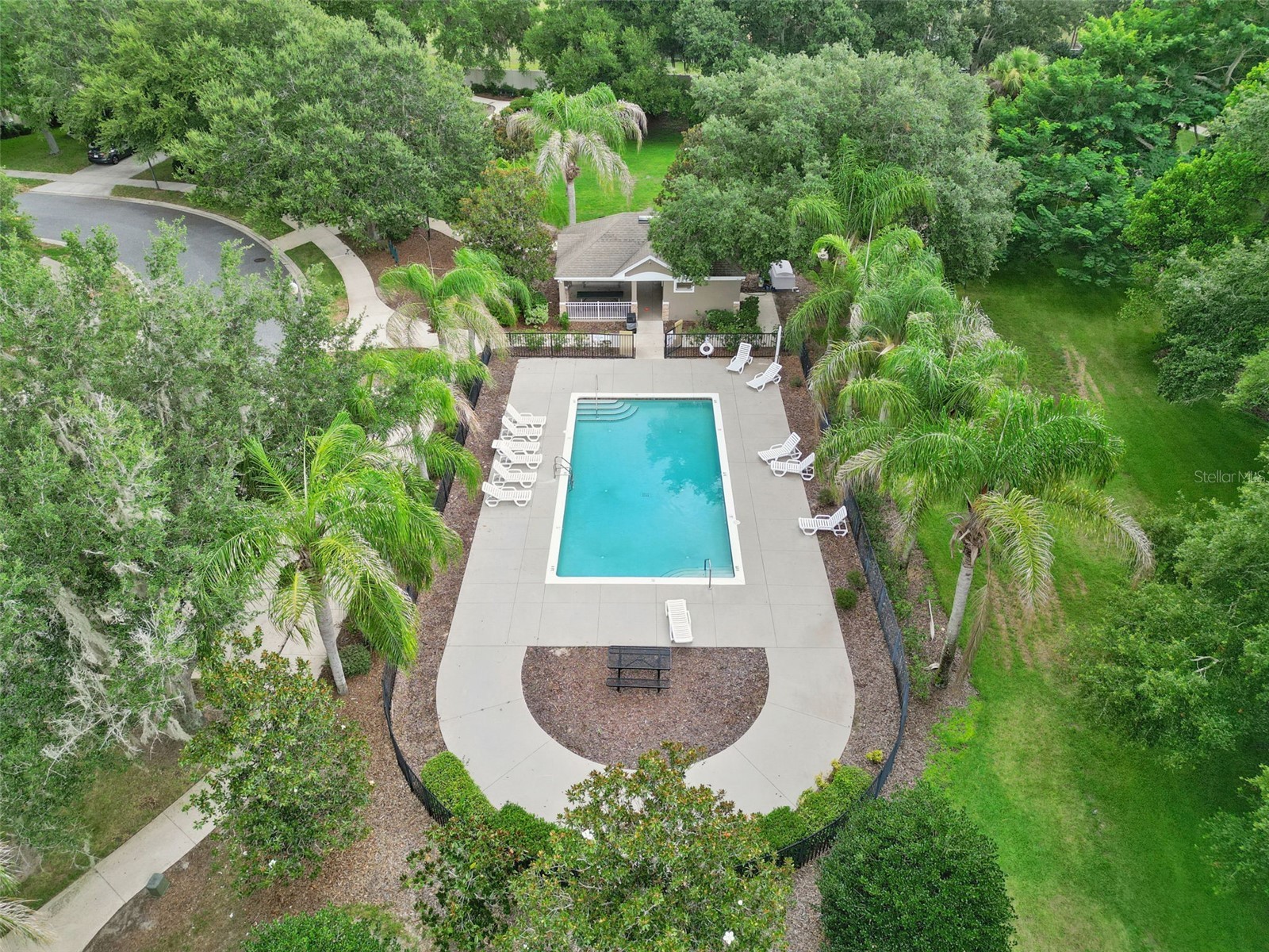 381 Misty Oaks Lane Eustis FL 32736 O6425036 image34