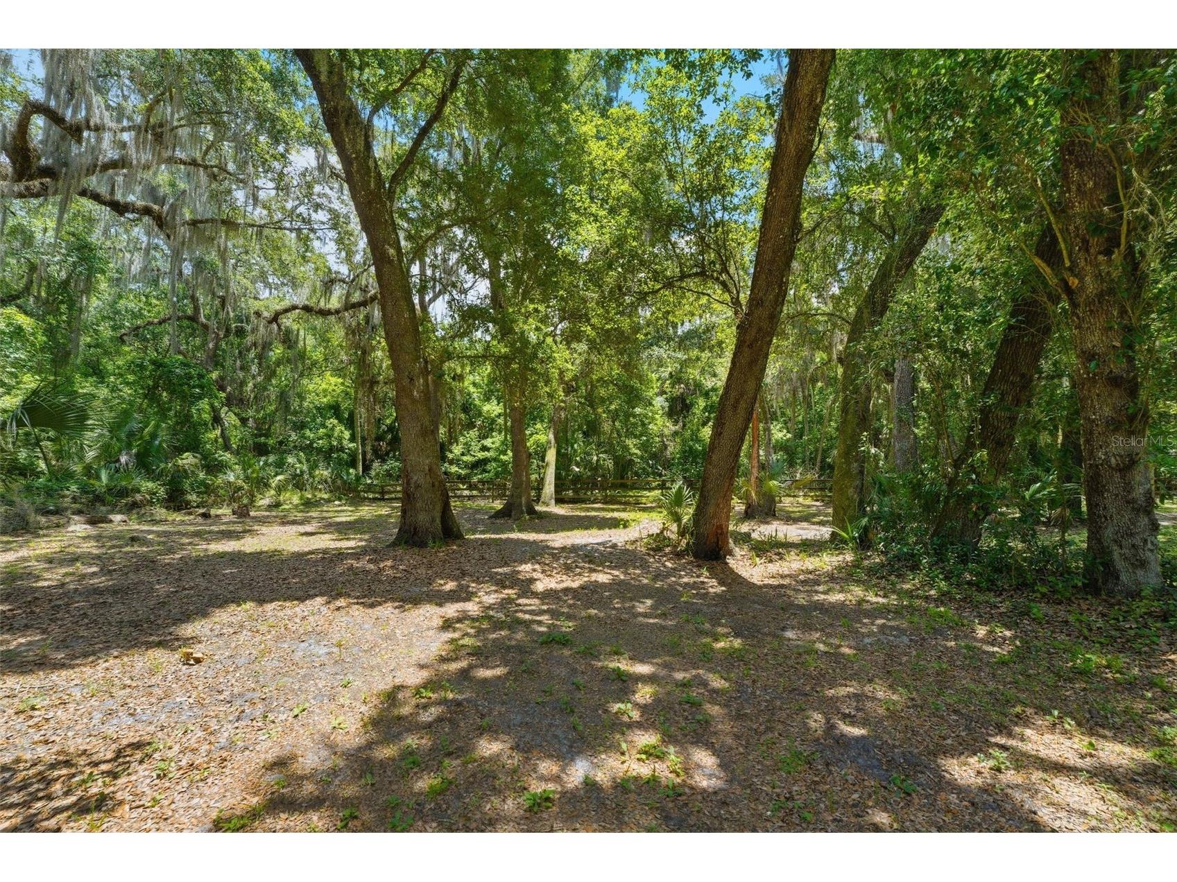 381 N Jungle Road Geneva FL 32732 V4949688 image45