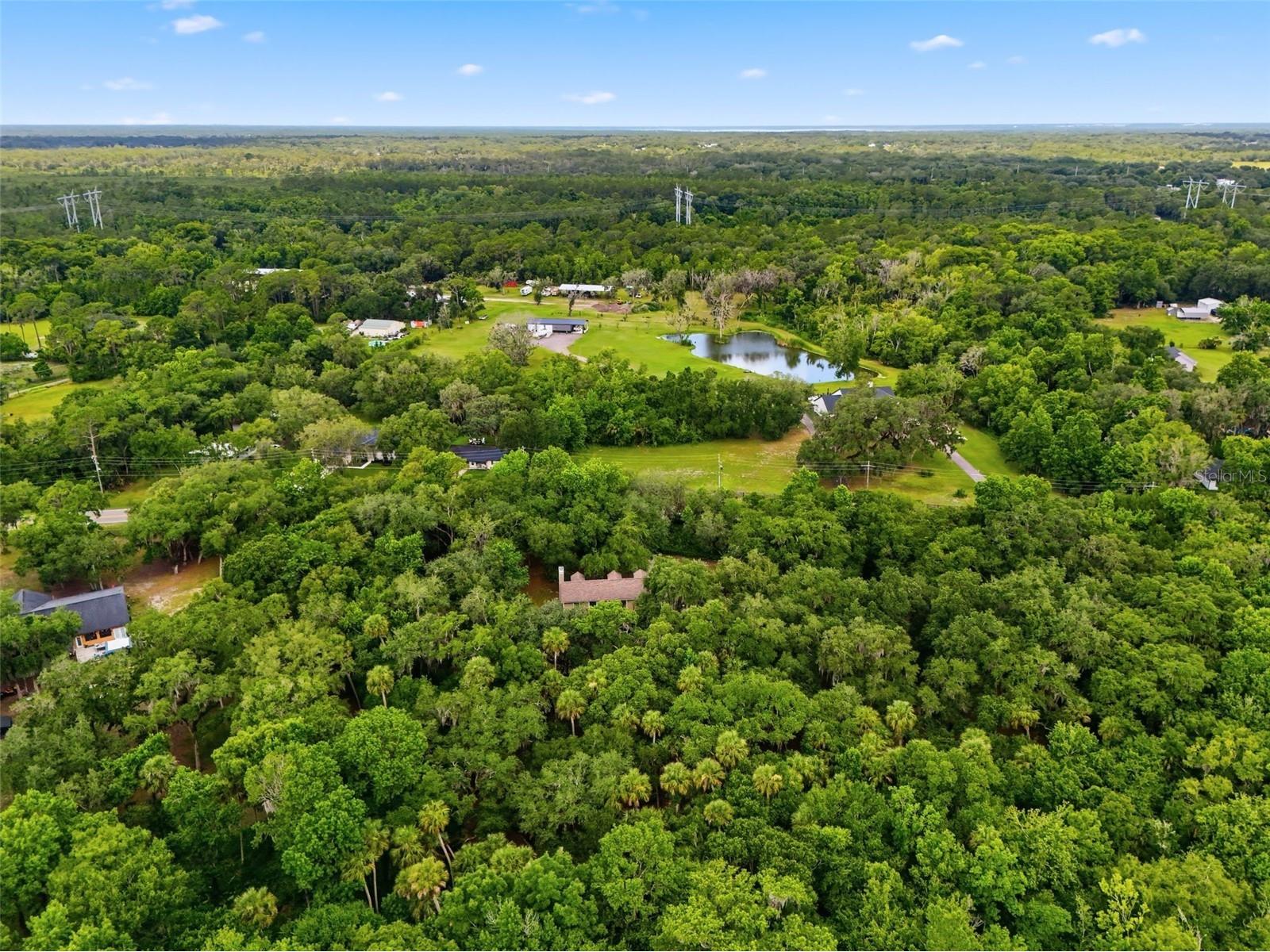 381 N Jungle Road Geneva FL 32732 V4949688 image52