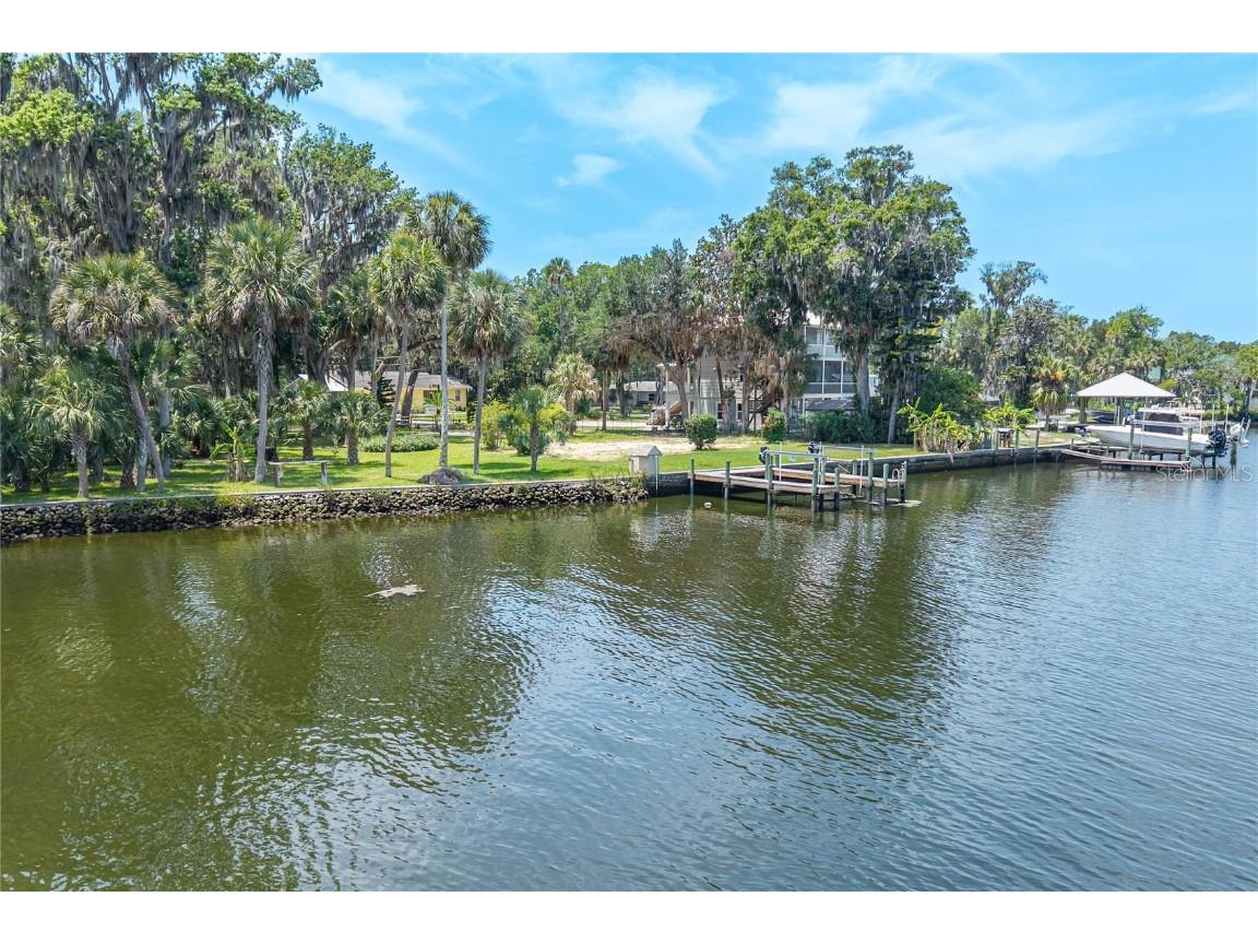 381 NW Magnolia Circle Crystal River FL 34428 - CRYSTAL RIVER OM701789 image25