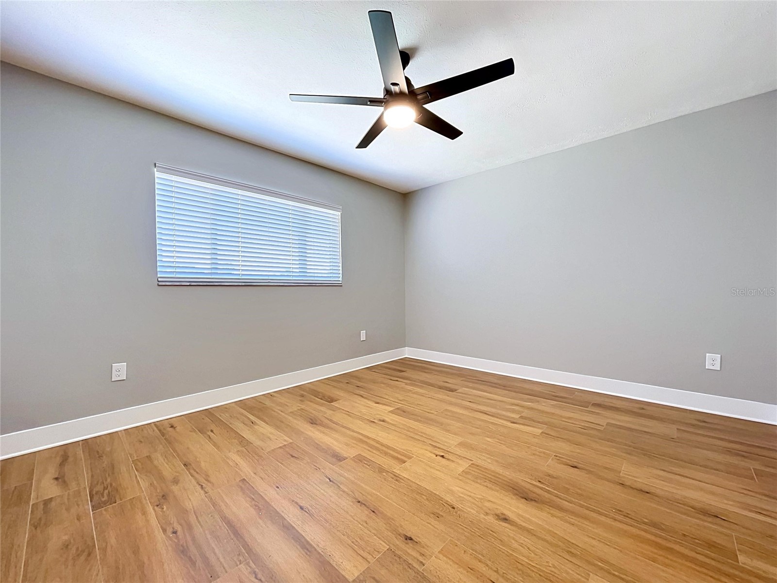 381 Westwinds Drive Palm Harbor FL 34683 TB8516559 image38