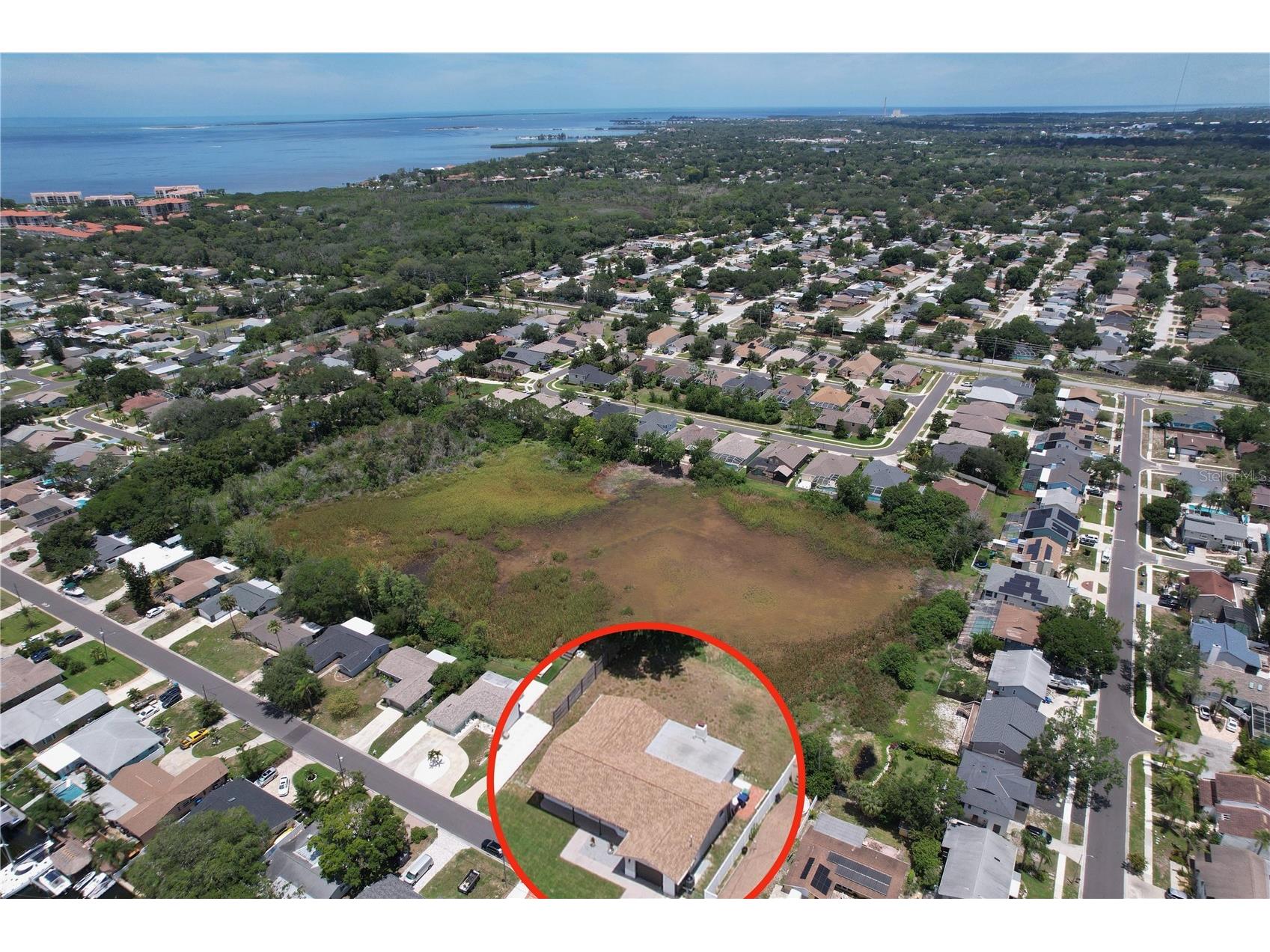 381 Westwinds Drive Palm Harbor FL 34683 TB8516559 image53