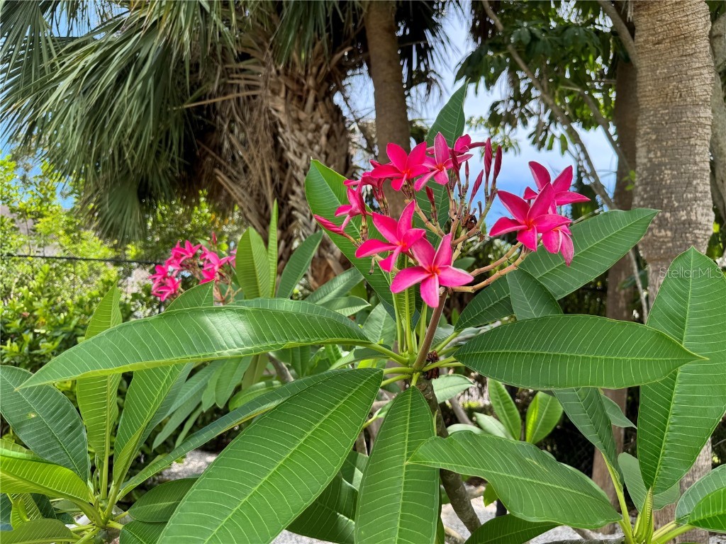 3810 75th Street W #137 Bradenton FL 34209 A4656625 image56