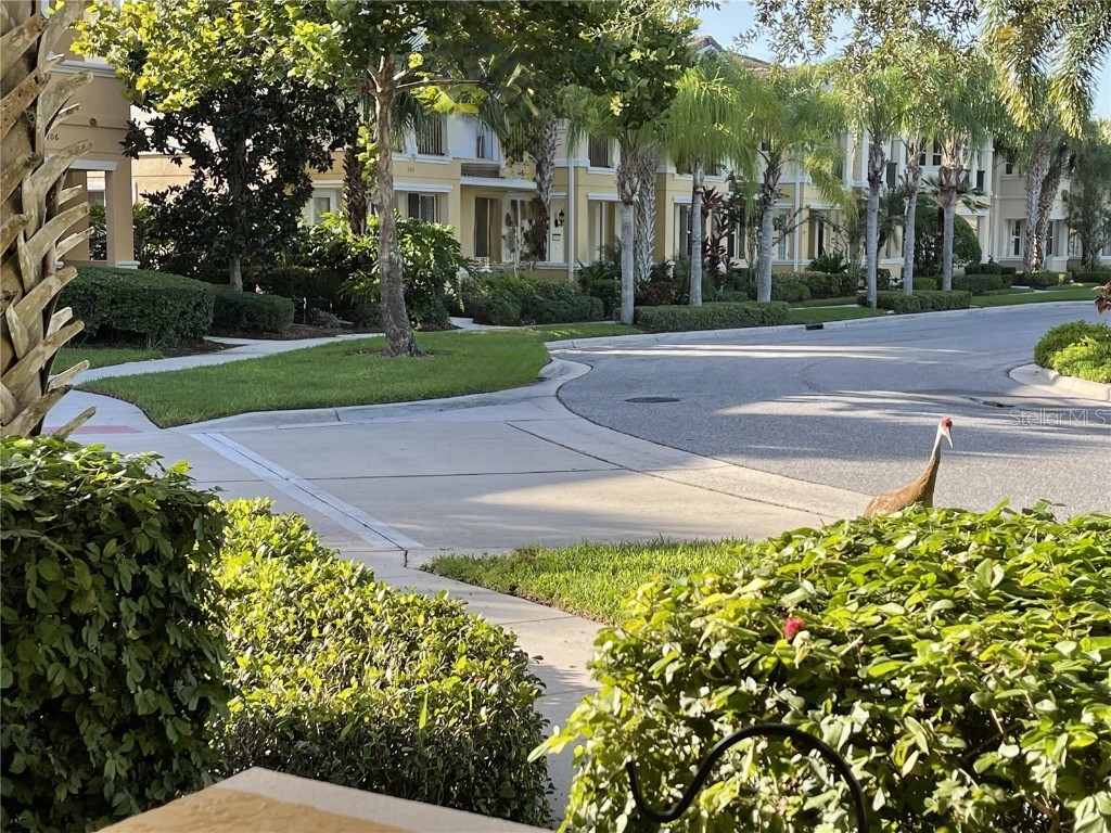 3810 82nd Avenue Circle E #106 Sarasota FL 34243 TB8455758 image4