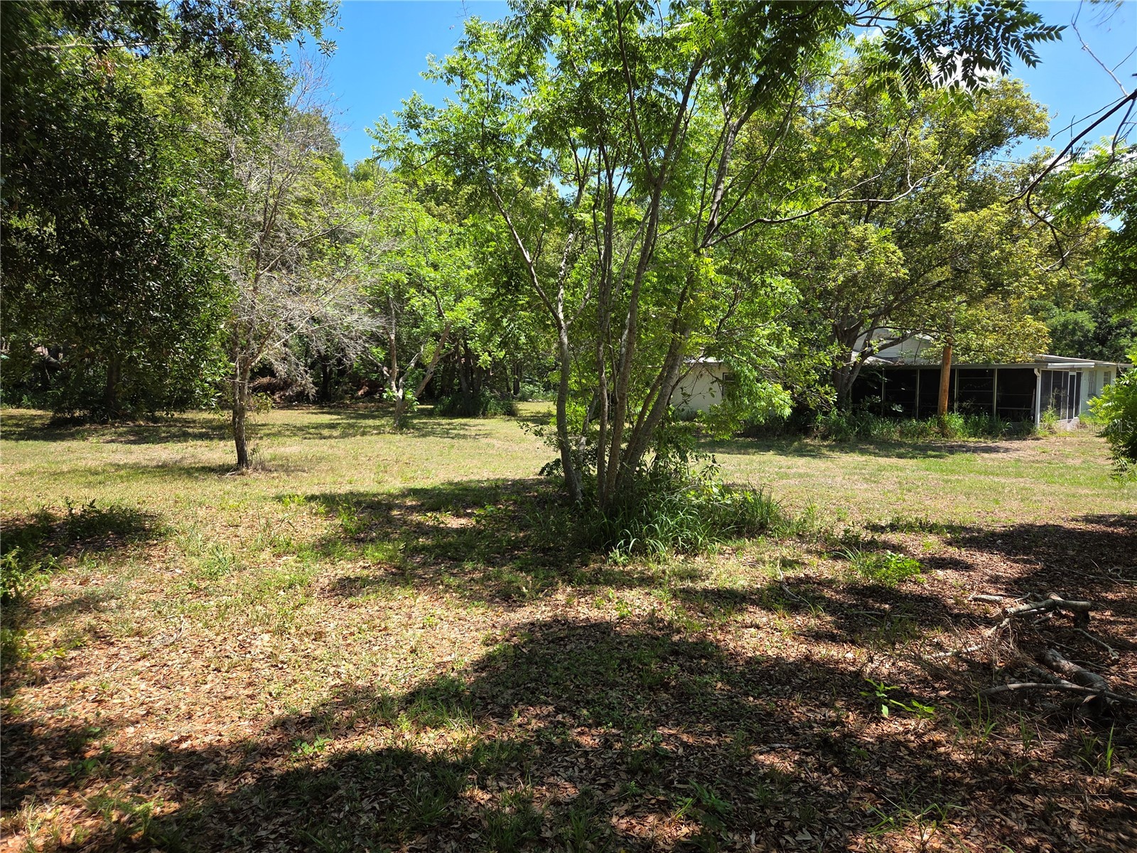 3810 E Lumsden Road Valrico FL 33594 TB8509502 image2