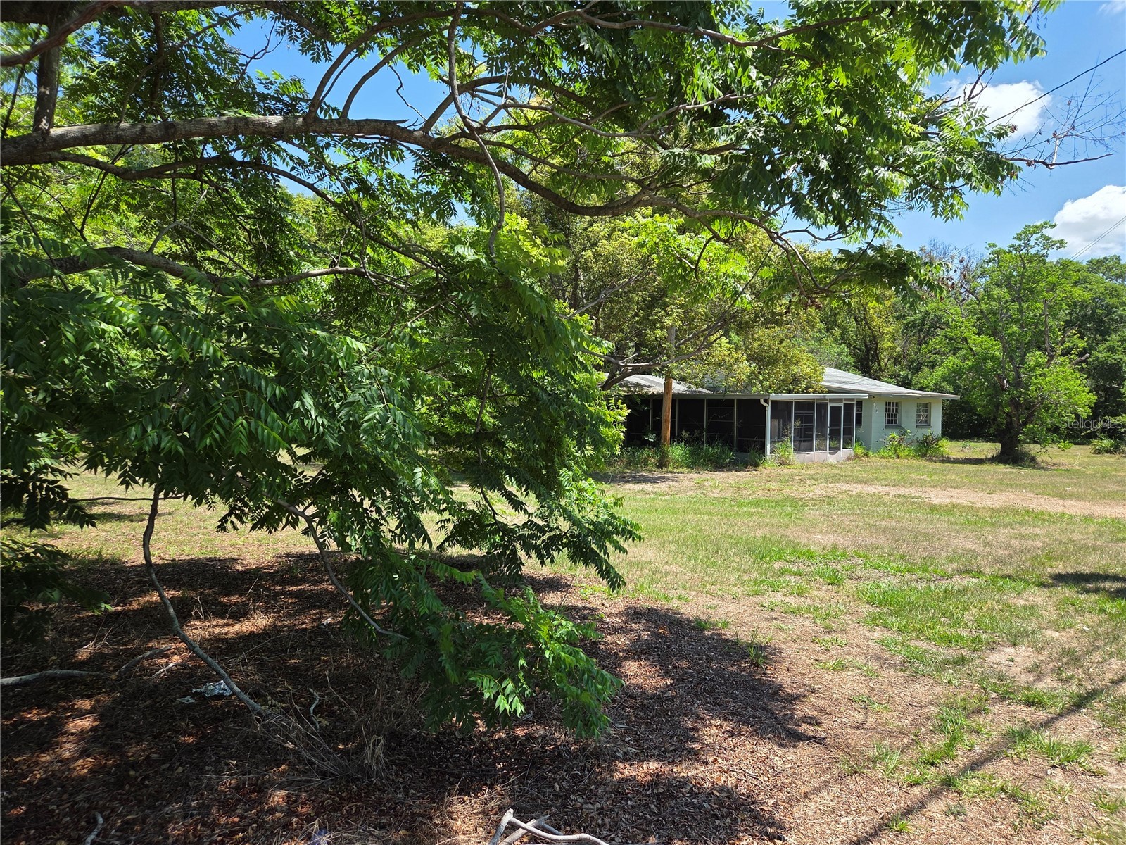 3810 E Lumsden Road Valrico FL 33594 TB8515261 image3