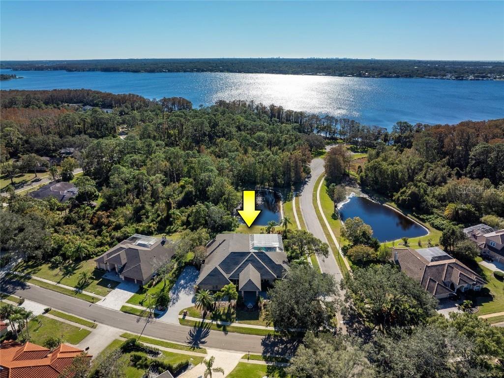 3810 Executive Drive Palm Harbor FL 34685 - LAKE TARPON & POND TB8332899 image1