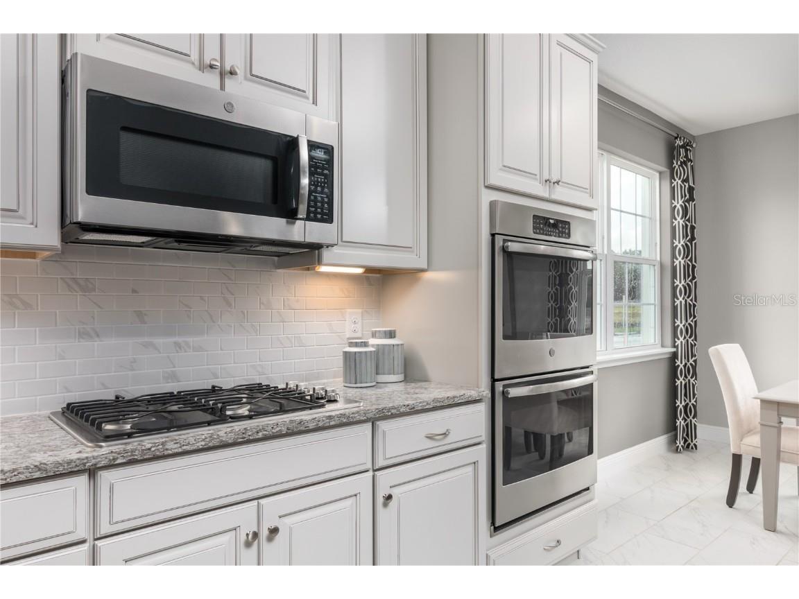 3810 Isle Royal Place Apopka FL 32712 W7877540 image4