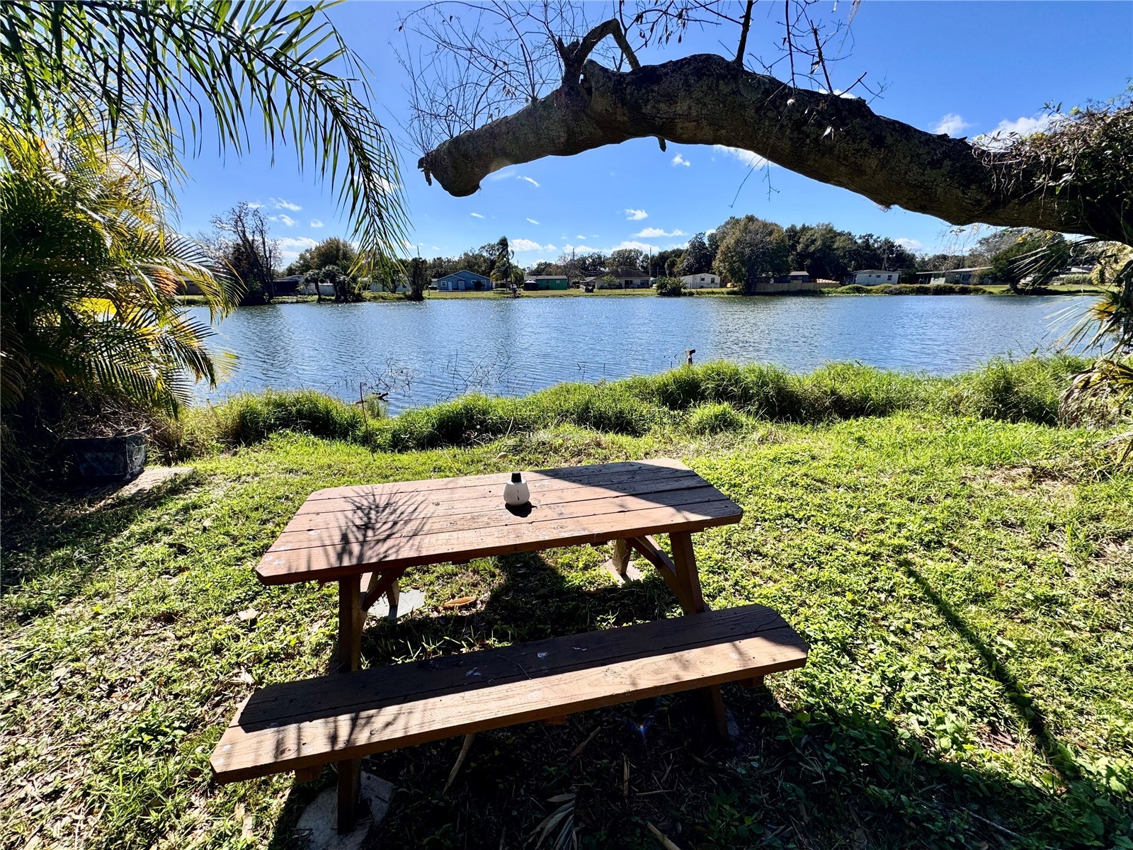 3810 Johnson Street Orlando FL 32805 O6362188 image17