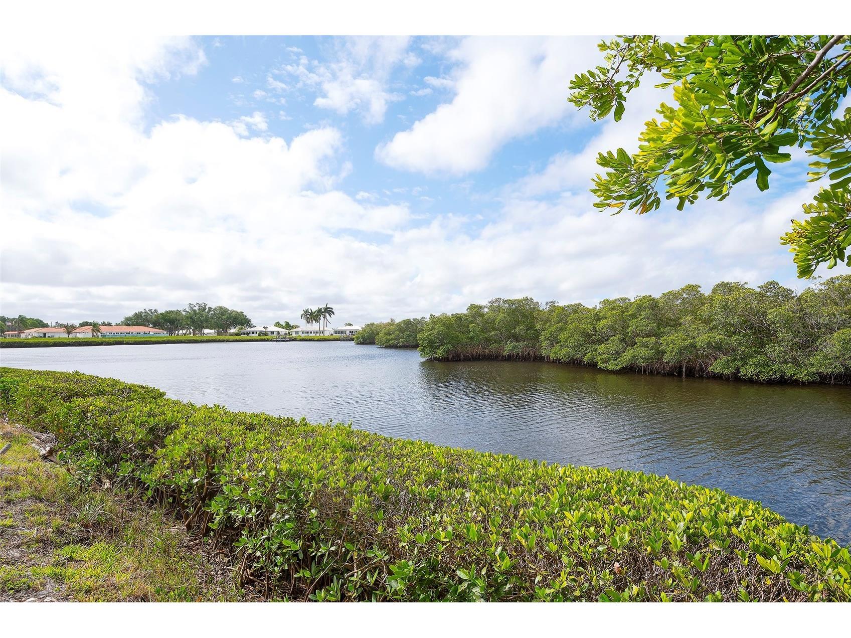 3810 Joyce Drive Bradenton FL 34208 - BRADEN RIVER A4693455 image27