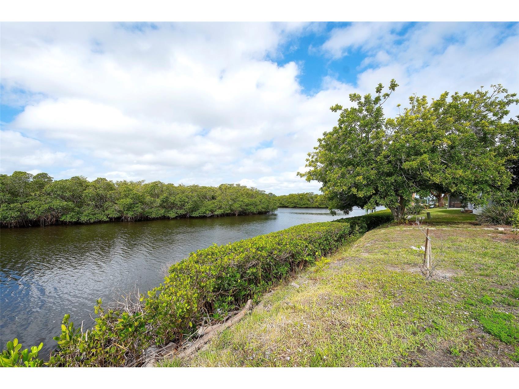 3810 Joyce Drive Bradenton FL 34208 - BRADEN RIVER A4693455 image28