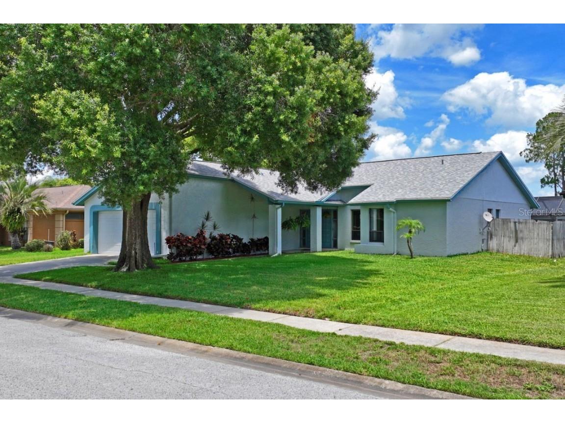 3810 Sarazen Drive New Port Richey FL 34655 U8247617 image1