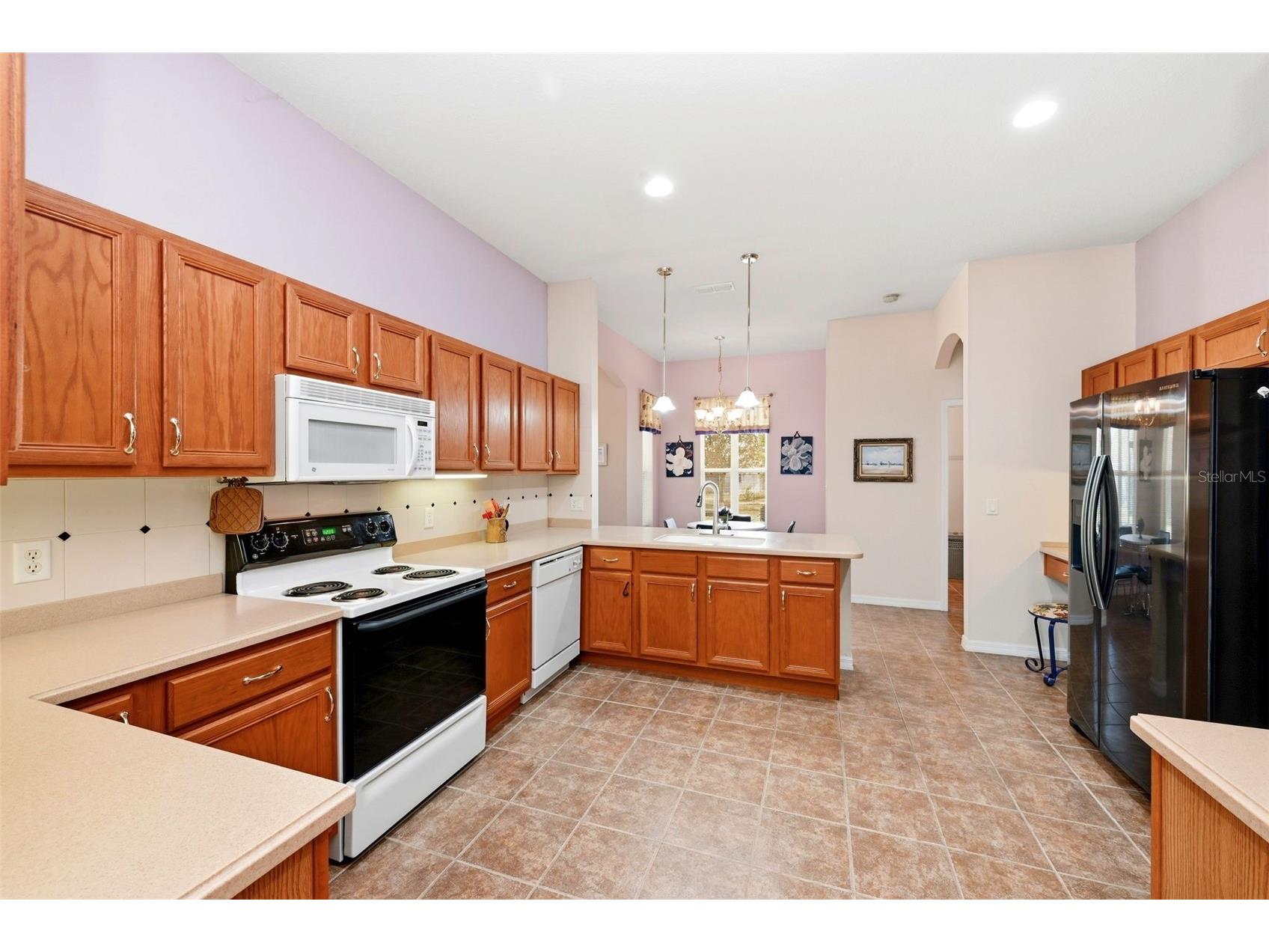 3810 St Emma Court Leesburg FL 34748 O6386925 image14