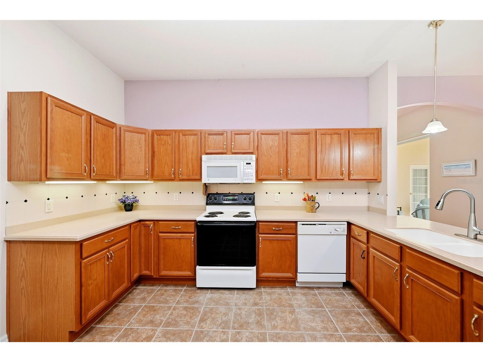 3810 St Emma Court Leesburg FL 34748 O6386925 image15