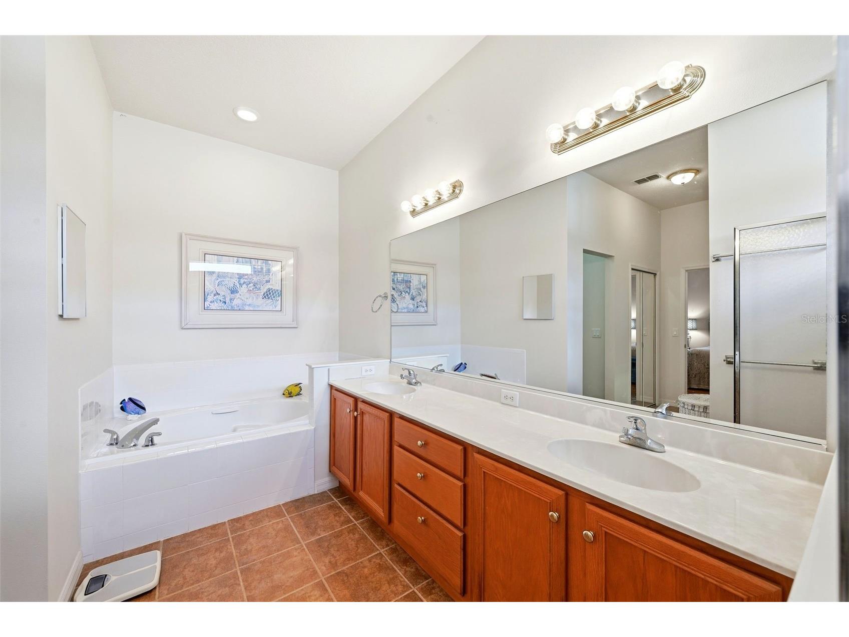 3810 St Emma Court Leesburg FL 34748 O6386925 image21