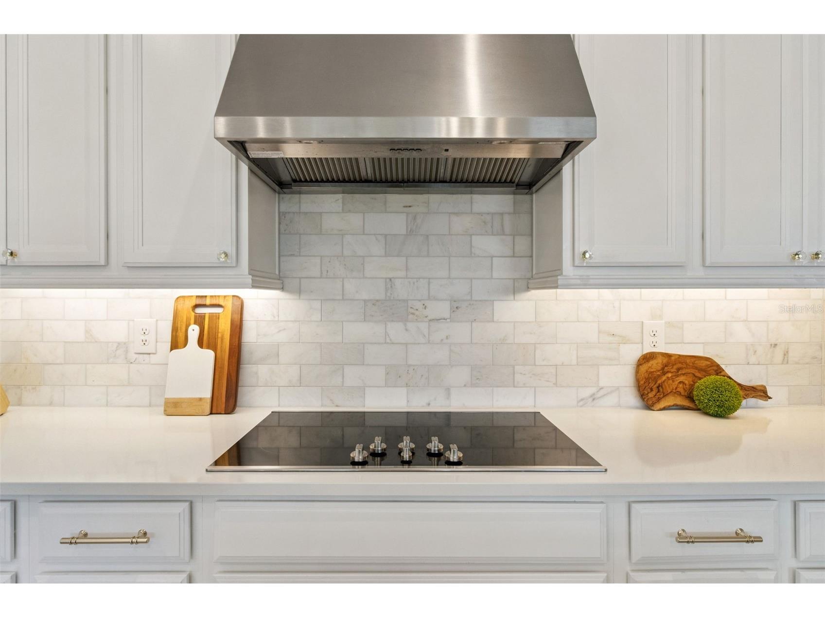 3810 Via Mazzini Court Kissimmee FL 34759 O6374733 image17