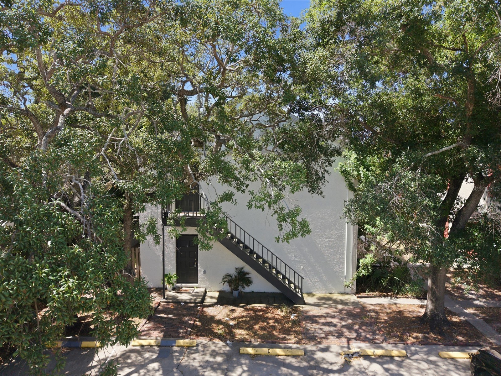 3810 W Cleveland Street Tampa FL 33609 A4697067 image32
