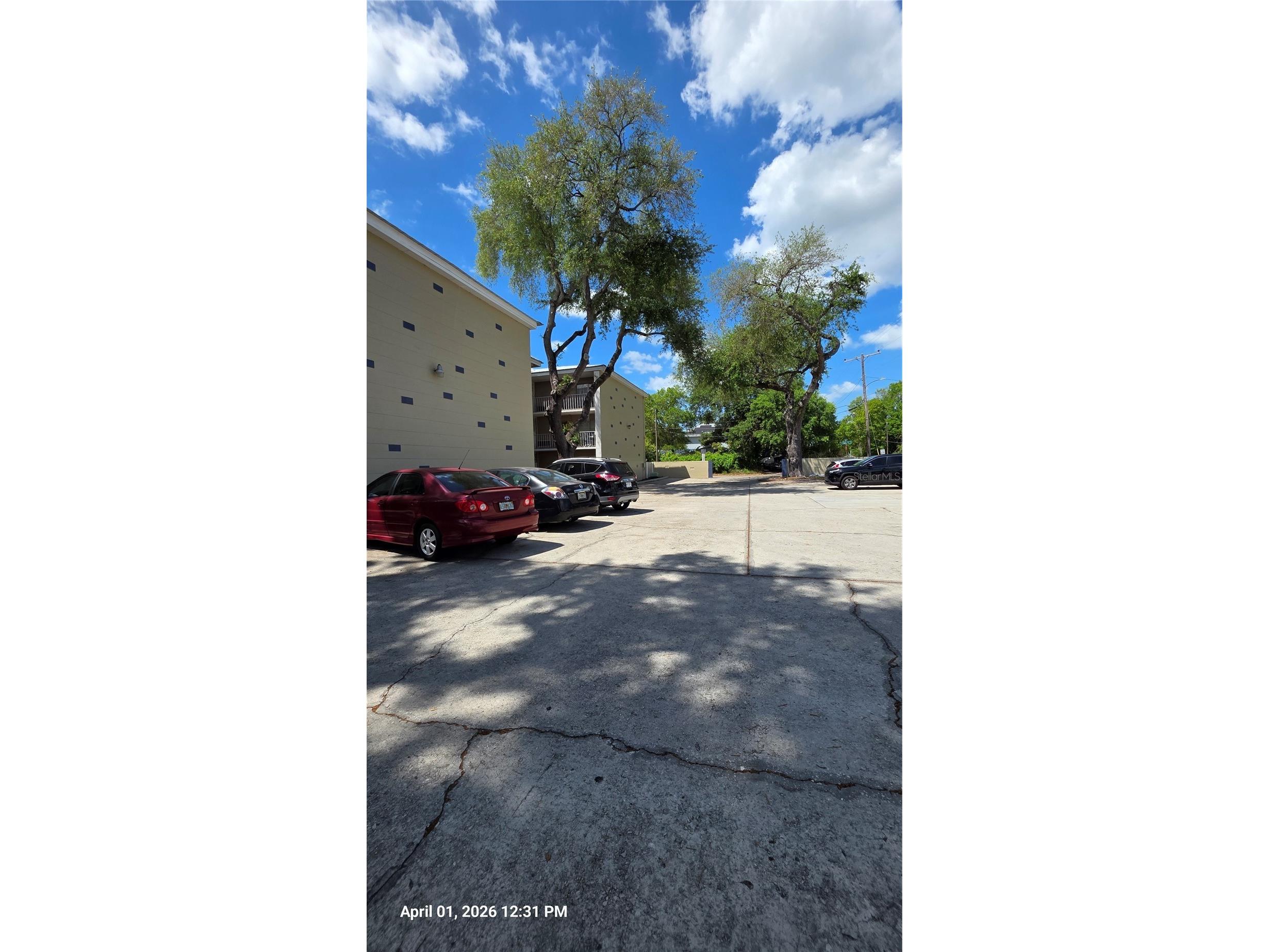3810 W San Carlos Street #314 Tampa FL 33629 TB8509428 image13