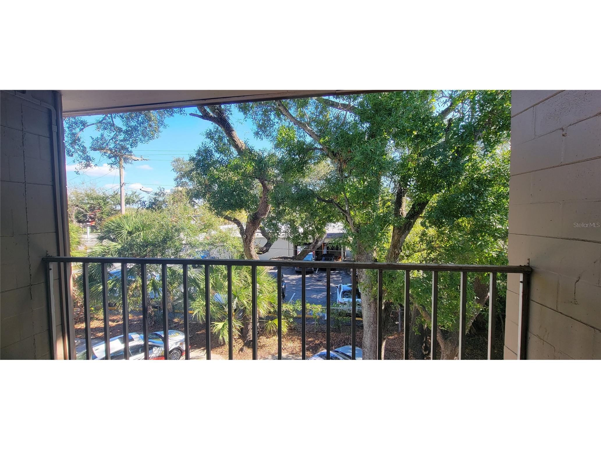 3810 W San Carlos Street #314 Tampa FL 33629 TB8509428 image6