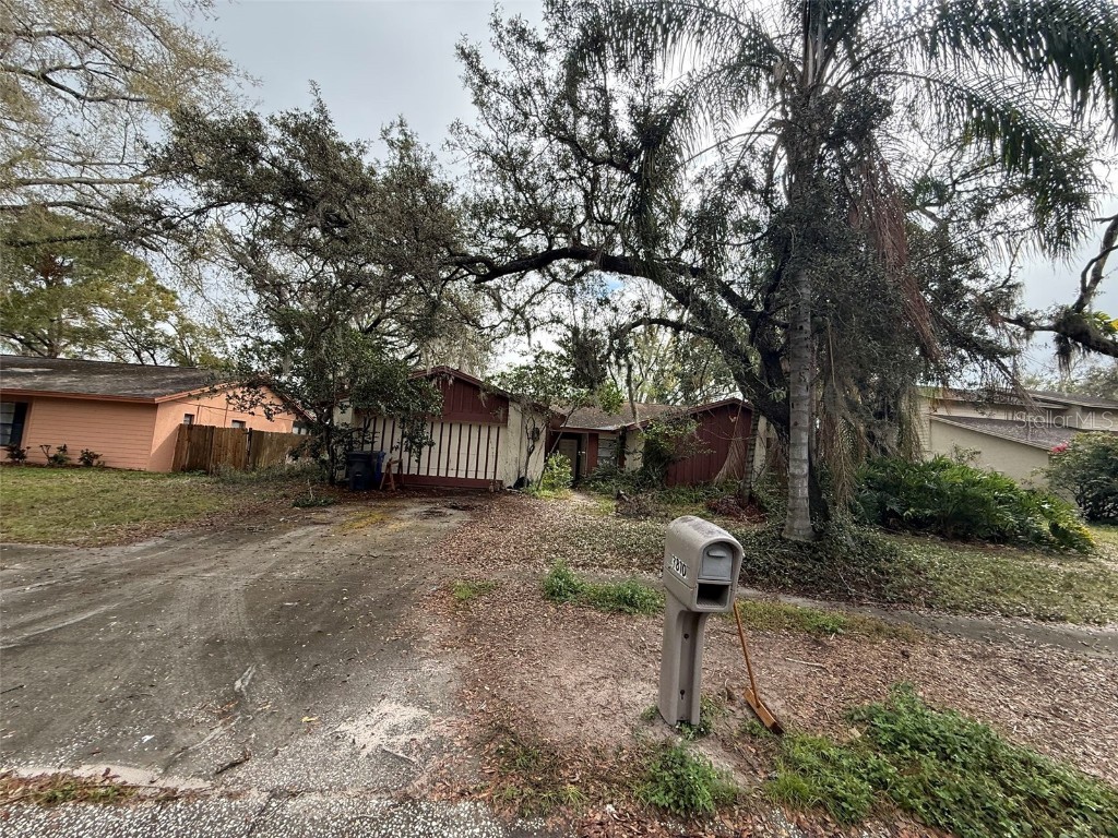 3810 Windtree Court Brandon FL 33511 TB8354757 image1