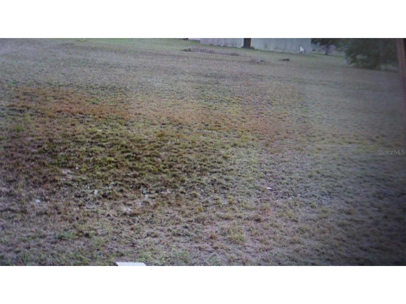 3811 21st Street W Lehigh Acres FL 33971 U8185521 image1