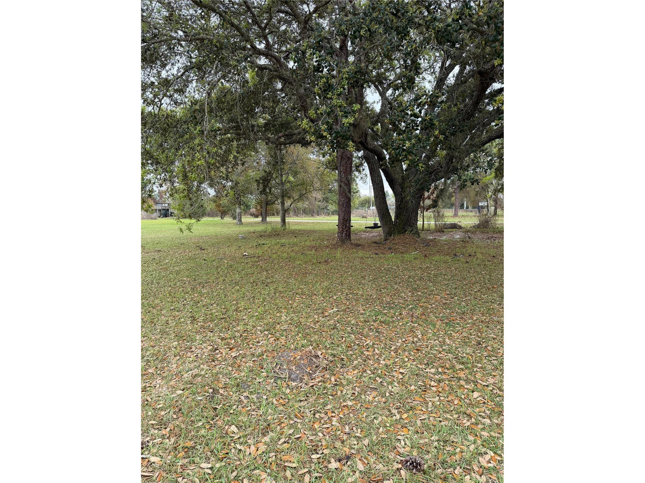 3811 Bancroft Boulevard Orlando FL 32833 O6392598 image16