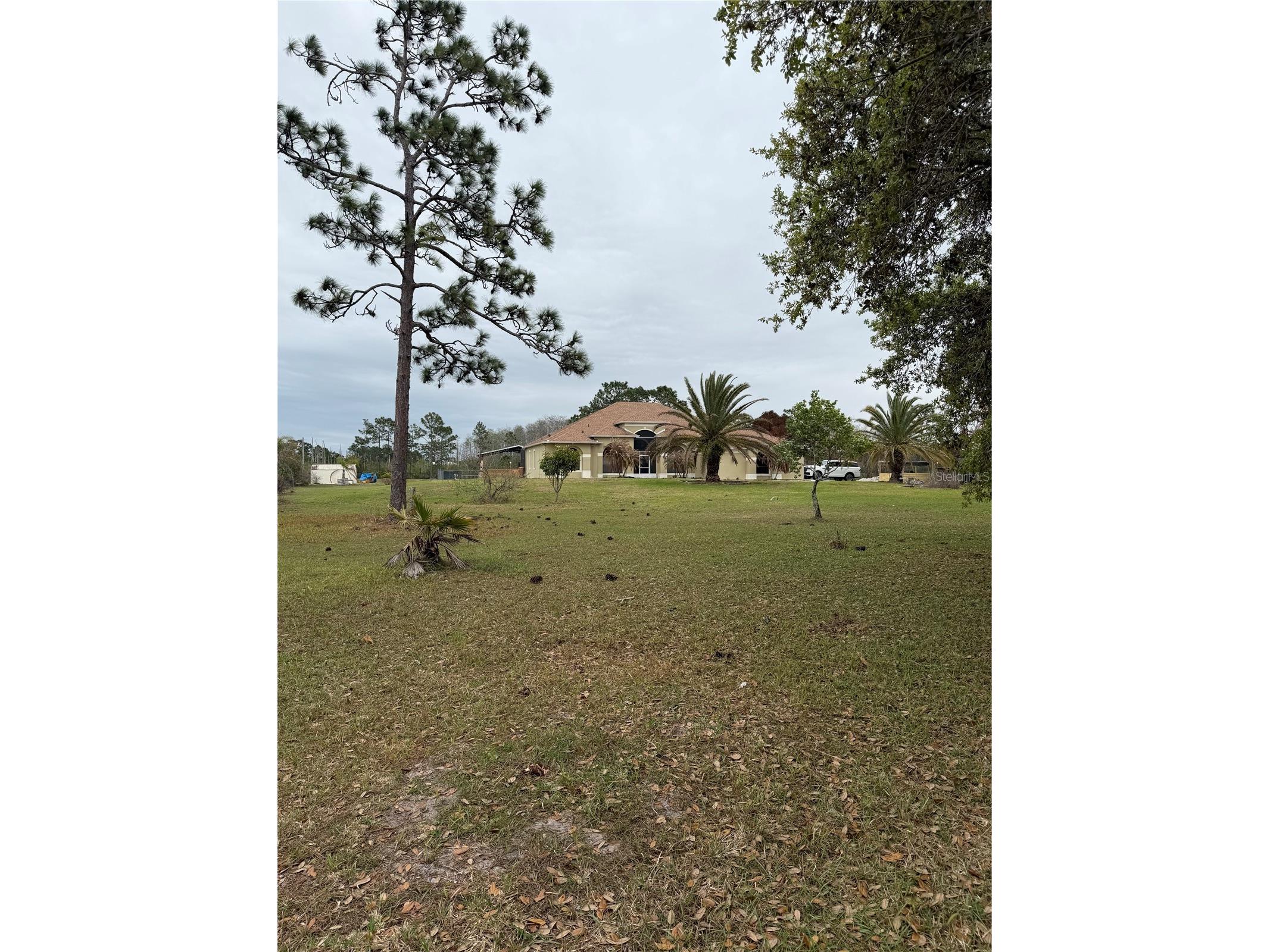 3811 Bancroft Boulevard Orlando FL 32833 O6392598 image4