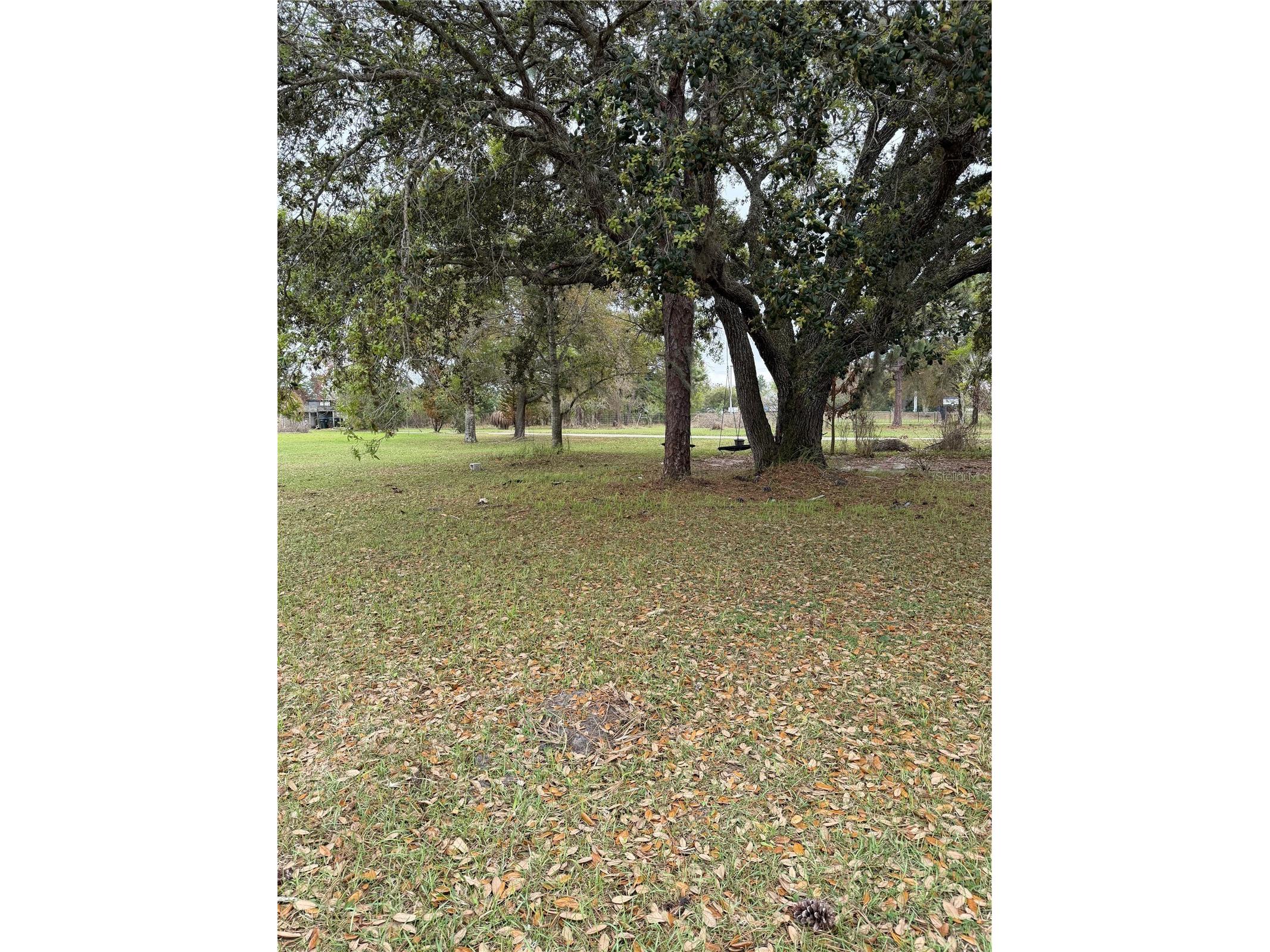 3811 Bancroft Boulevard Orlando FL 32833 O6392598 image9