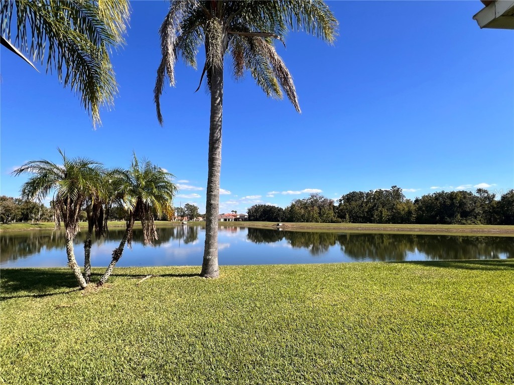 3811 Golden Knot Drive Kissimmee FL 34746 S5132792 image2