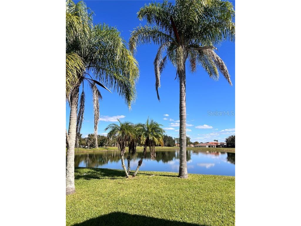 3811 Golden Knot Drive Kissimmee FL 34746 S5132792 image38