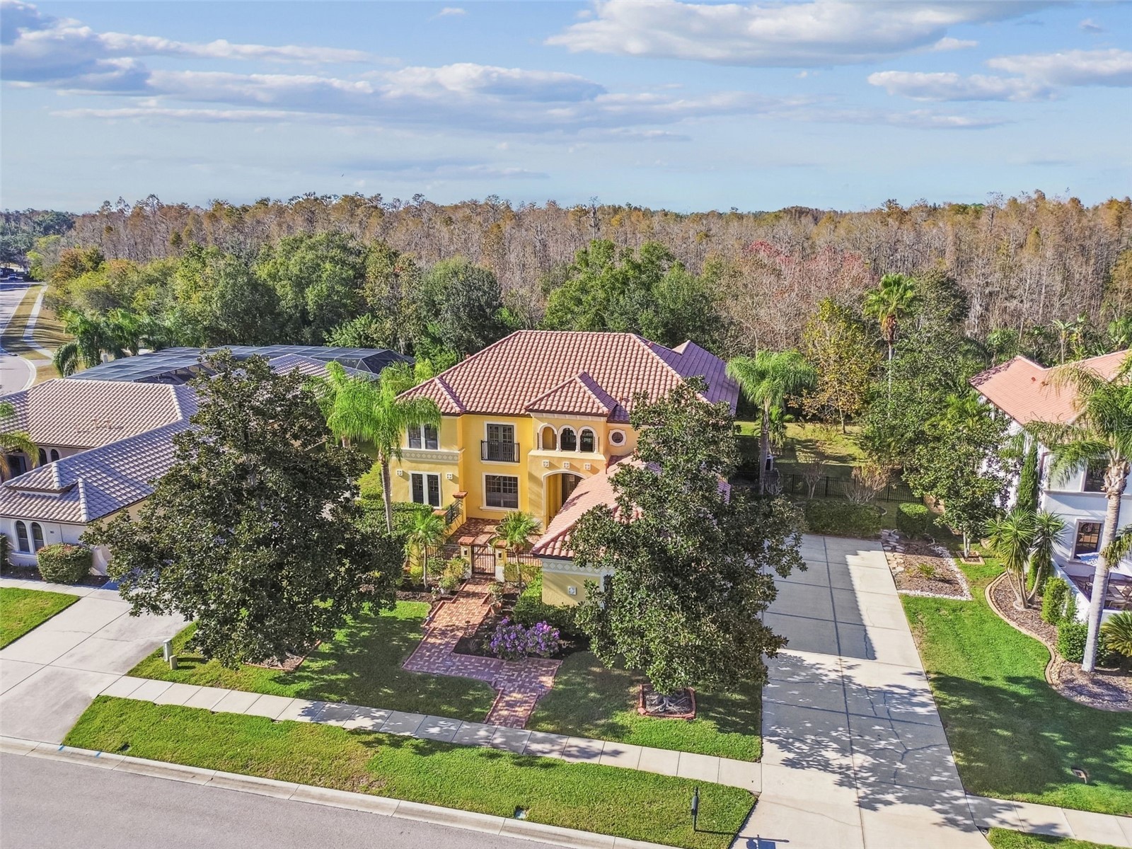 3811 Ivydale Court Land O Lakes FL 34638 TB8454888 image1