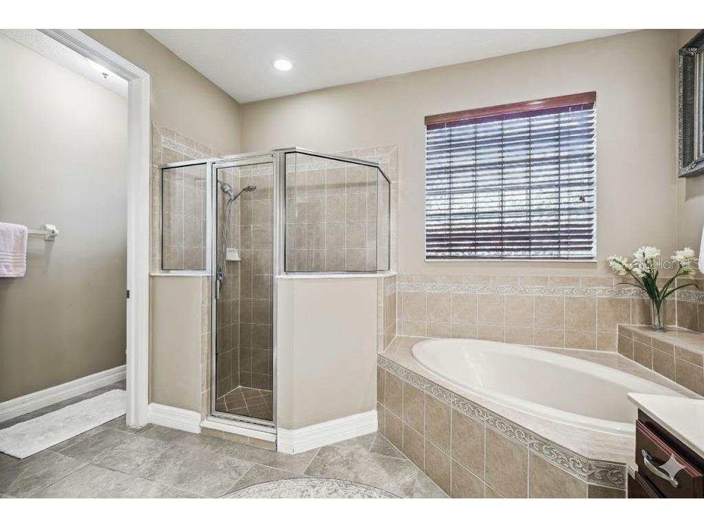 3811 Ivydale Court Land O Lakes FL 34638 TB8454888 image23