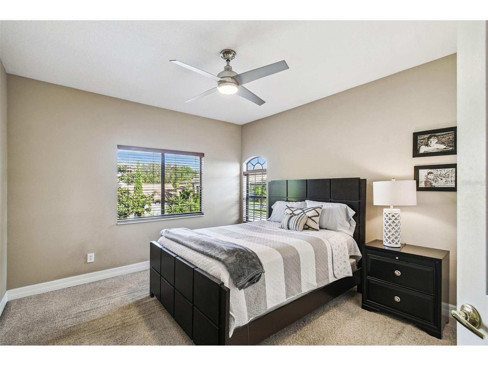 3811 Ivydale Court Land O Lakes FL 34638 TB8454888 image44