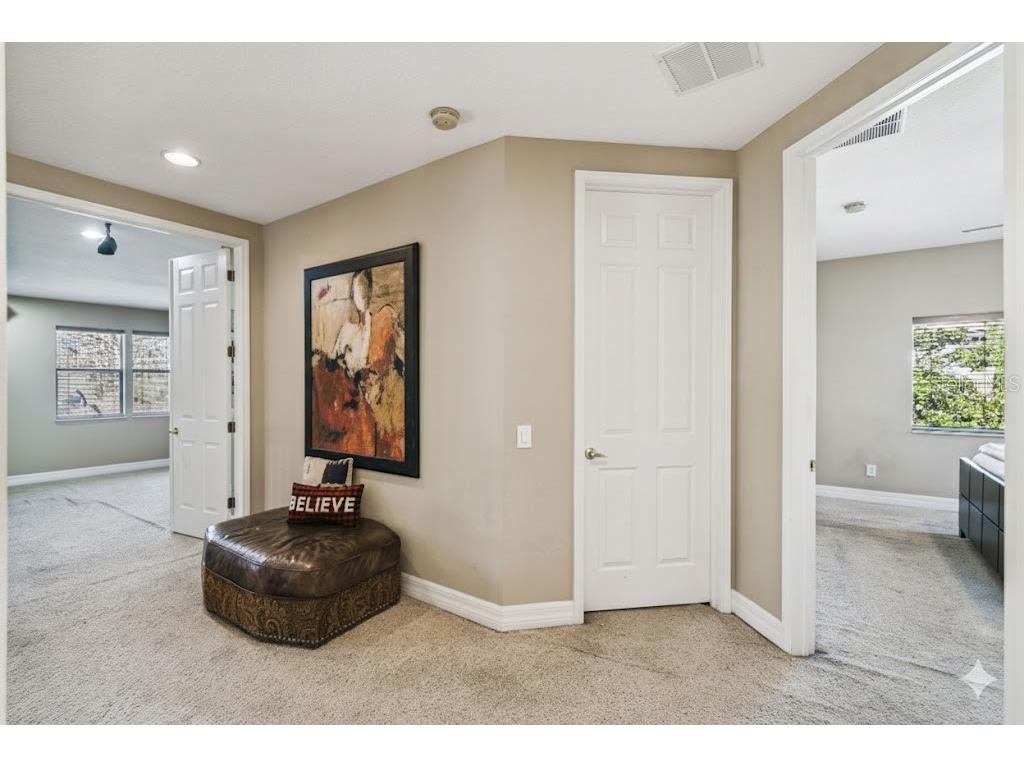 3811 Ivydale Court Land O Lakes FL 34638 TB8454888 image48