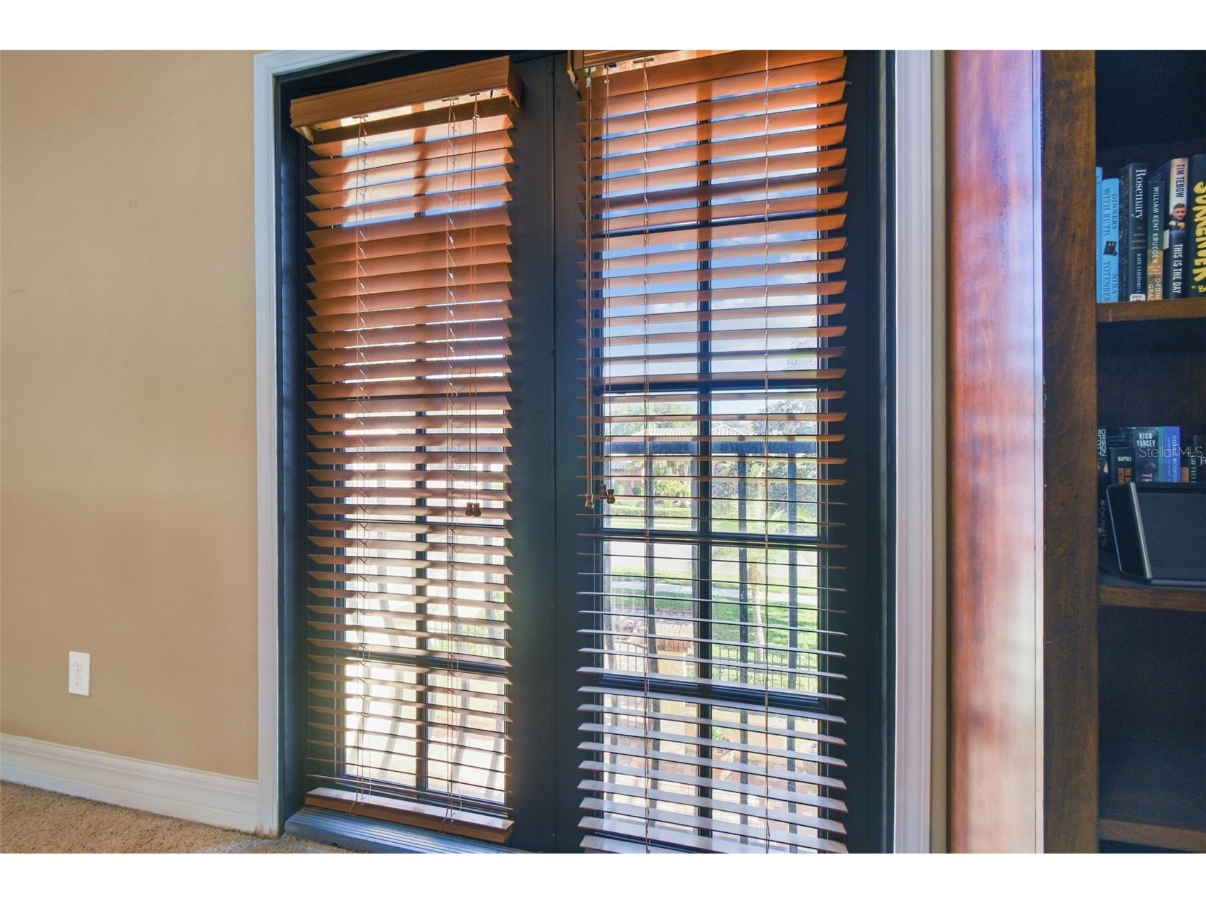 3811 Ivydale Court Land O Lakes FL 34638 TB8454888 image57